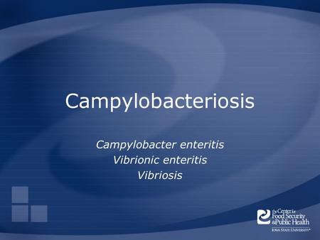 Campylobacter enteritis Vibrionic enteritis Vibriosis