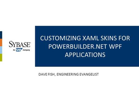 Customizing XAML Skins for PowerBuilder.NET WPF Applications