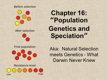 Chapter 16: “Population Genetics and Speciation”