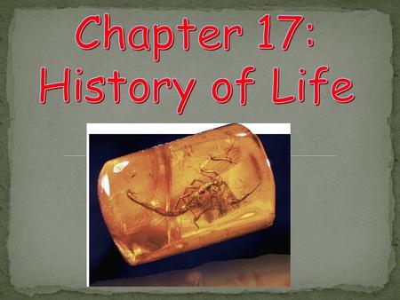 Chapter 17: History of Life.