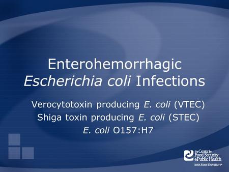 Enterohemorrhagic Escherichia coli Infections Verocytotoxin producing E. coli (VTEC) Shiga toxin producing E. coli (STEC) E. coli O157:H7.
