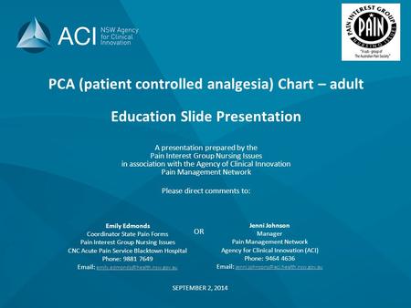 PCA (patient controlled analgesia) Chart – adult Education Slide Presentation A presentation prepared by the Pain Interest Group Nursing Issues in association.