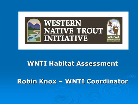 WNTI Habitat Assessment Robin Knox – WNTI Coordinator.