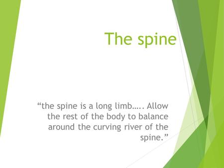 The spine “the spine is a long limb….. Allow the rest of the body to balance around the curving river of the spine.”
