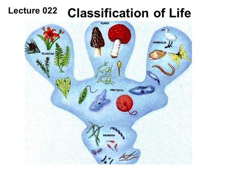 Lecture 022 Classification of Life. Are they related?