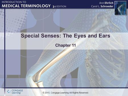 © 2015, Cengage Learning. All Rights Reserved. Special Senses: The Eyes and Ears Chapter 11.