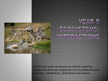In this next series of lessons we will be exploring interactions between organisms such as predator/prey, parasites, competitors, pollinators and disease.