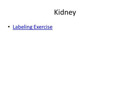 Kidney Labeling Exercise.