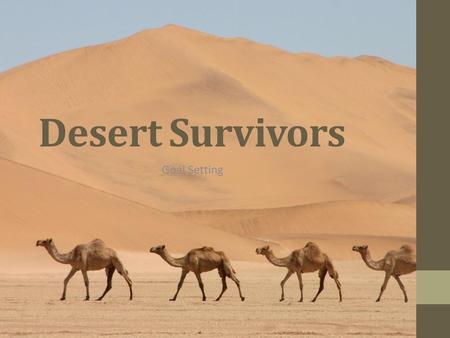 Desert Survivors Goal Setting.