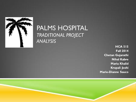PALMS HOSPITAL Traditional Project Analysis