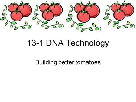 13-1 DNA Technology Building better tomatoes. Objectives Define genetic engineering Explain how restriction enzymes can be used to make recombinant DNA.