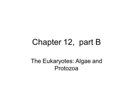 The Eukaryotes: Algae and Protozoa