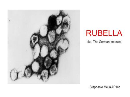 RUBELLA aka. The German measles Stephanie Mejia AP bio.