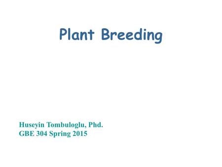 Plant Breeding Huseyin Tombuloglu, Phd. GBE 304 Spring 2015.