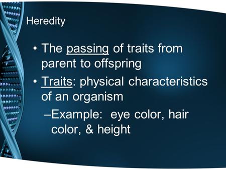 Heredity The passing of traits from parent to offspring Traits: physical characteristics of an organism –Example: eye color, hair color, & height.