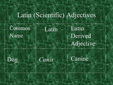 Latin (Scientific) Adjectives
