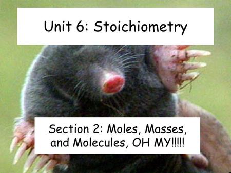 Unit 6: Stoichiometry Section 2: Moles, Masses, and Molecules, OH MY!!!!!