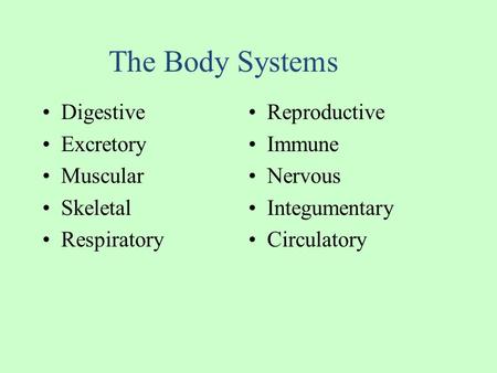 The Body Systems Digestive Reproductive Excretory Immune Muscular