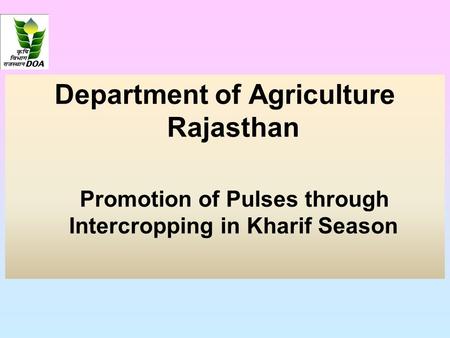 Department of Agriculture Rajasthan Promotion of Pulses through Intercropping in Kharif Season.