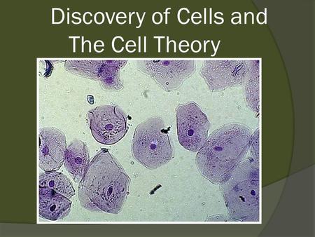 Discovery of Cells and The Cell Theory. Some Random Cell Facts  The average human being is composed of around 75 Trillion individual cells  It would.