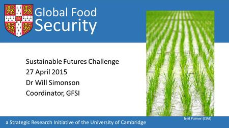 Global Food Security Sustainable Futures Challenge 27 April 2015 Dr Will Simonson Coordinator, GFSI Global Food Security a Strategic Research Initiative.