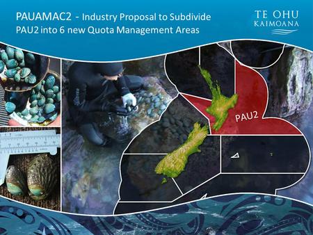 PAUAMAC2 - Industry Proposal to Subdivide PAU2 into 6 new Quota Management Areas.