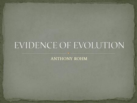 EVIDENCE OF EVOLUTION ANTHONY ROHM.