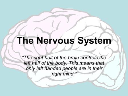 The Nervous System “The right half of the brain controls the left half of the body. This means that only left handed people are in their right mind.”