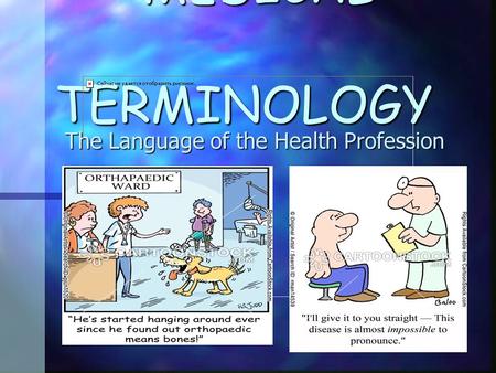 The Language of the Health Profession