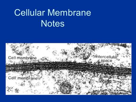 Cellular Membrane Notes About Cell Membranes 1. All cells have a cell membrane 2.Functions: a.Controls what enters and exits the cell to maintain an.