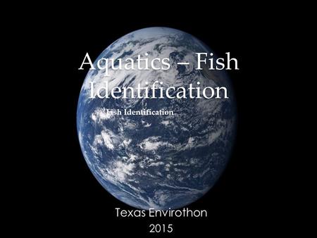 Aquatics – Fish Identification Texas Envirothon 2015 Fish Identification.