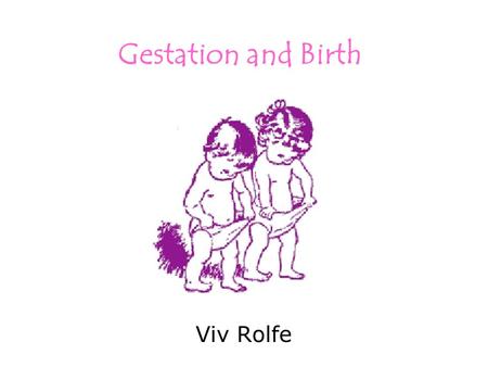 Gestation and Birth Viv Rolfe