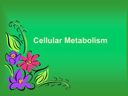 Cellular Metabolism.