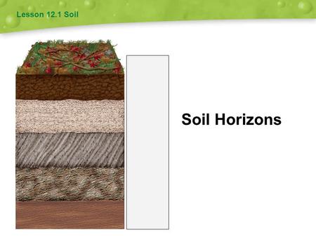 Lesson 12.1 Soil Soil Horizons.