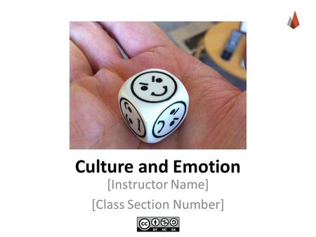Culture and Emotion [Instructor Name] [Class Section Number]