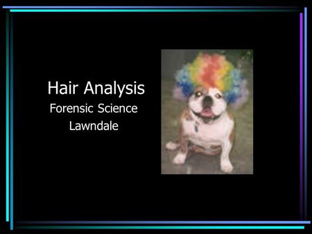 Hair Analysis Forensic Science Lawndale. Hair Analysis: Hairs are one example of trace evidence which can be examined under the microscope. Unfortunately,
