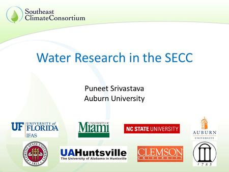 Water Research in the SECC Puneet Srivastava Auburn University.