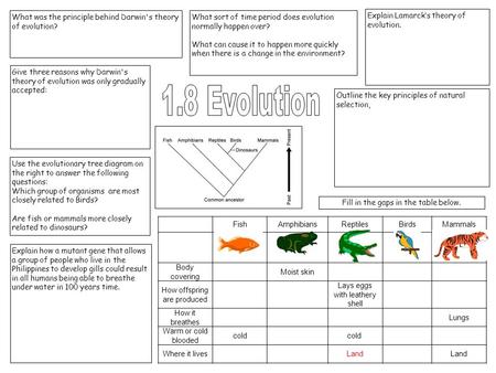 What was the principle behind Darwin's theory of evolution?