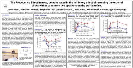 The Precedence Effect in mice, demonstrated in the inhibitory effect of reversing the order of clicks within pairs from two speakers on the startle reflex.