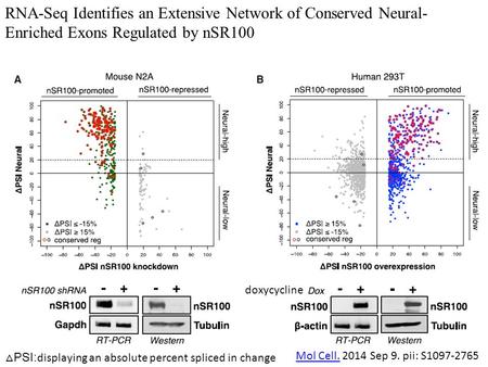Mol Cell.Mol Cell. 2014 Sep 9. pii: S1097-2765 RNA-Seq Identifies an Extensive Network of Conserved Neural- Enriched Exons Regulated by nSR100 △ PSI: displaying.
