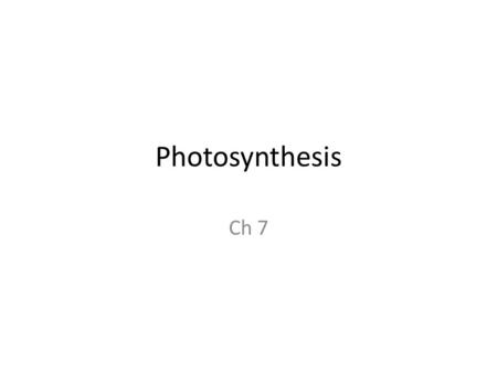 Photosynthesis Ch 7. Autotrophs Chloroplasts Contain chlorophyll – Green Site of photosynthesis Concentrated in leaves.