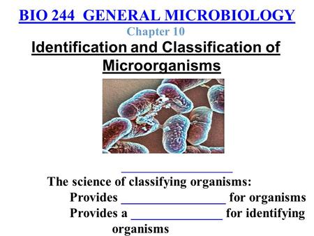 BIO 244 GENERAL MICROBIOLOGY