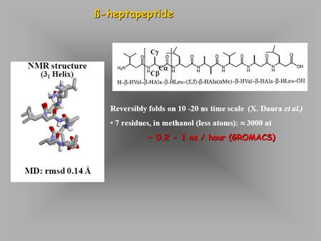 ß-heptapeptide CC CC CC MD: rmsd 0.14 Å NMR structure (3 1 Helix) Reversibly folds on 10 -20 ns time scale (X. Daura et al.) 7 residues, in methanol.