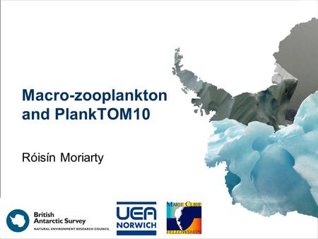 Macro-zooplankton and PlankTOM10 Róisín Moriarty.