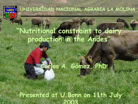 “Nutritional constraint to dairy production in the Andes” UNIVERSIDAD NACIONAL AGRARIA LA MOLINA Carlos A. Gómez, PhD Presented at U.Bonn on 11th July.