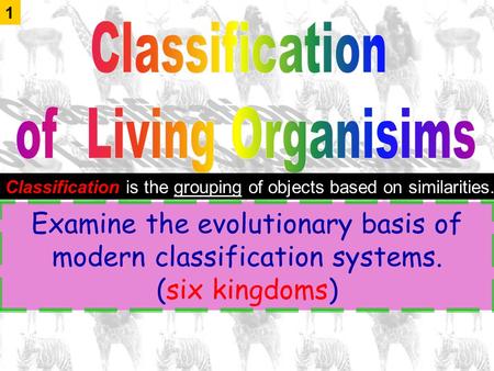 Examine the evolutionary basis of modern classification systems.