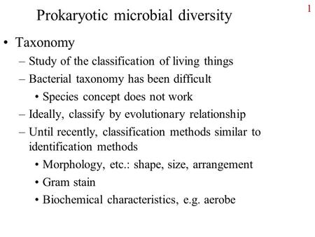 Prokaryotic microbial diversity