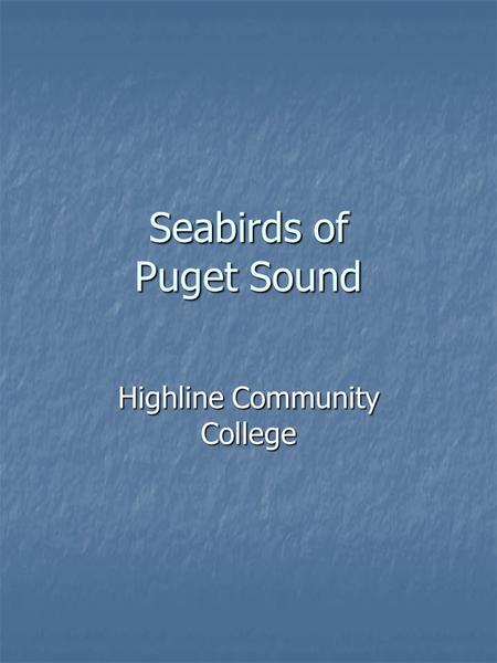 Seabirds of Puget Sound Highline Community College.
