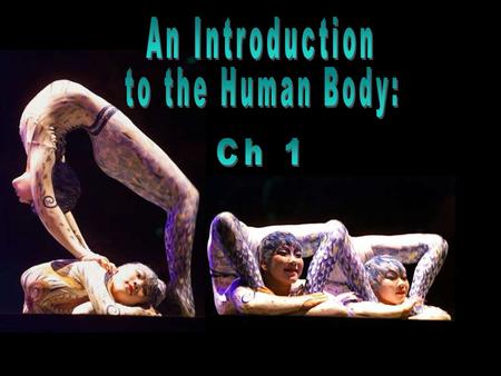 An Introduction to the Human Body: Ch 1.