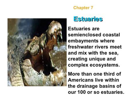 Chapter 7 Estuaries Estuaries are semienclosed coastal embayments where freshwater rivers meet and mix with the sea, creating unique and complex ecosystems.